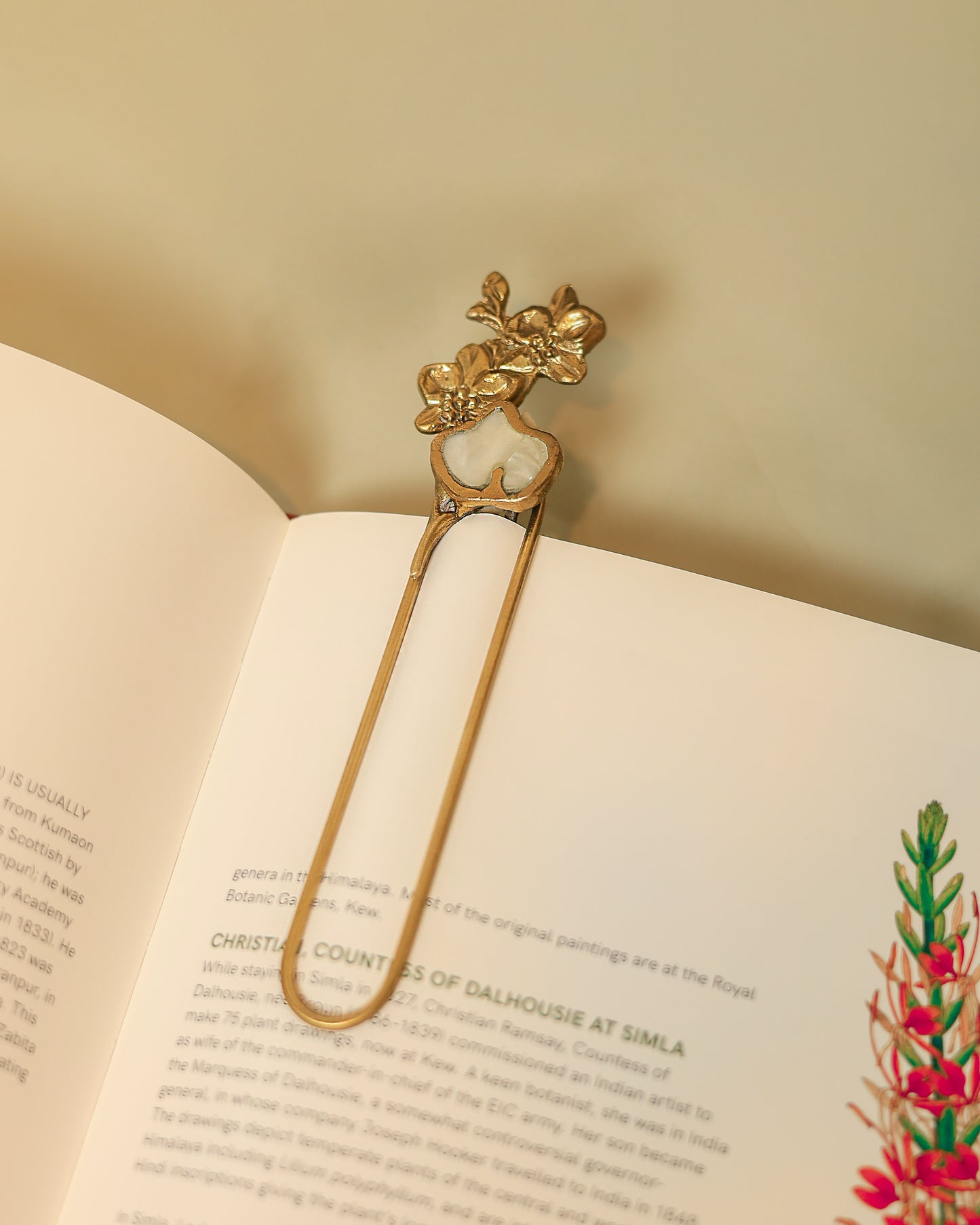 Petals of Moonlight Paper Holder