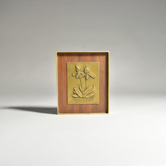 Elegent Slipper Orchid Frame