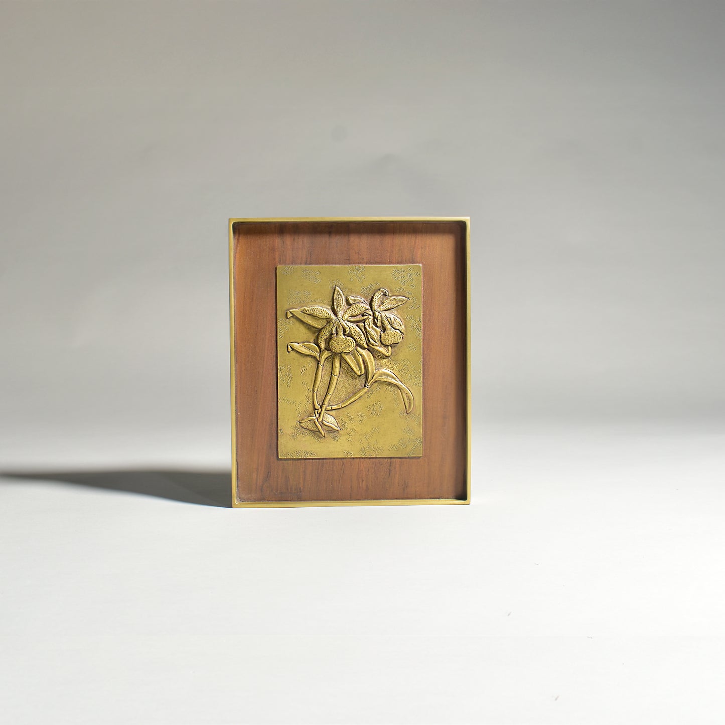 Hybrid Cattleya Orchid Frame