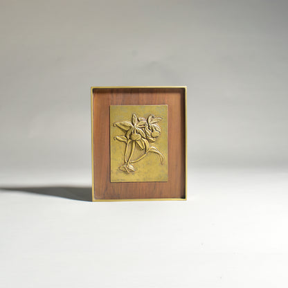 Hybrid Cattleya Orchid Frame