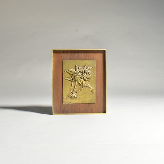 Hybrid Cattleya Orchid Frame