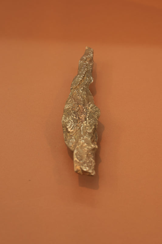 Fossil Ridge Handle