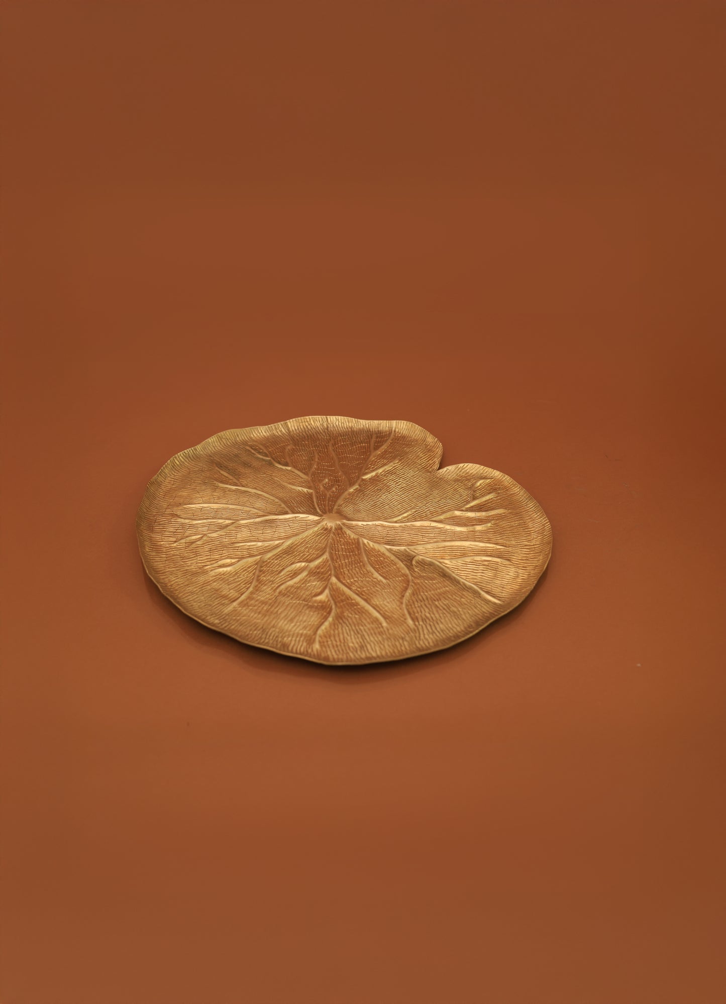 Young Lotus Leaf Platter