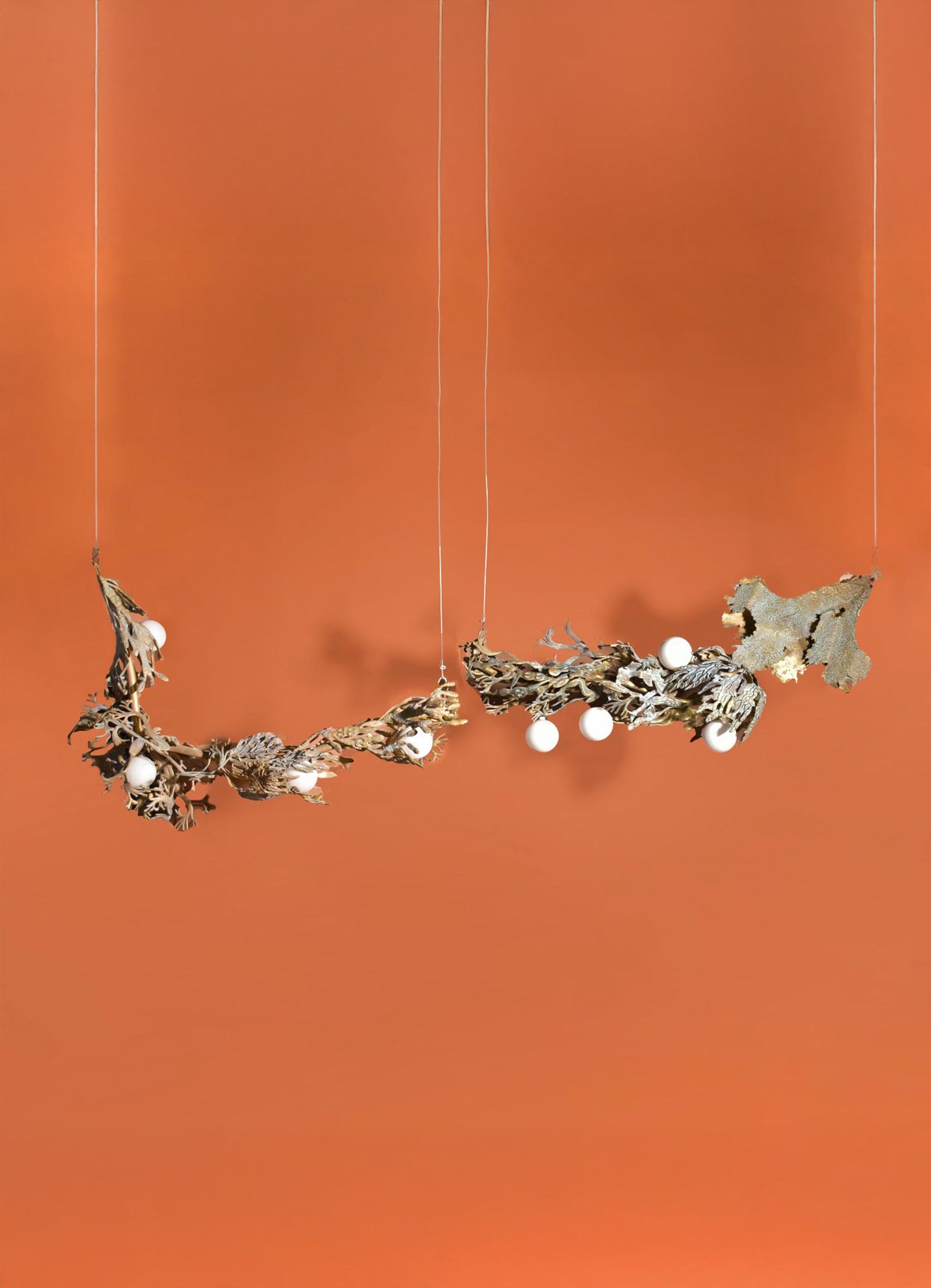 Blue Coral Ceiling Light