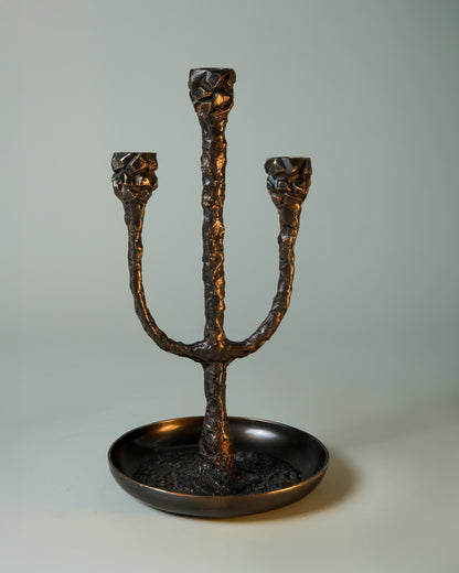 The Vigil Collection