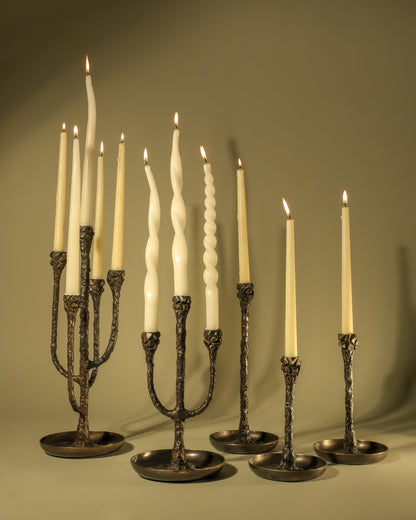 The Vigil Collection